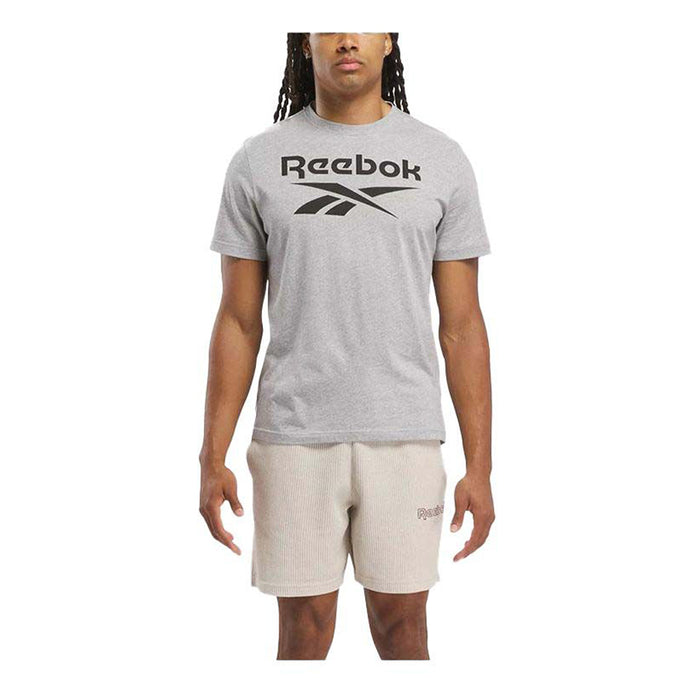 Reebok Ri Big Stacked Logo Adults Male Tshirts Grey