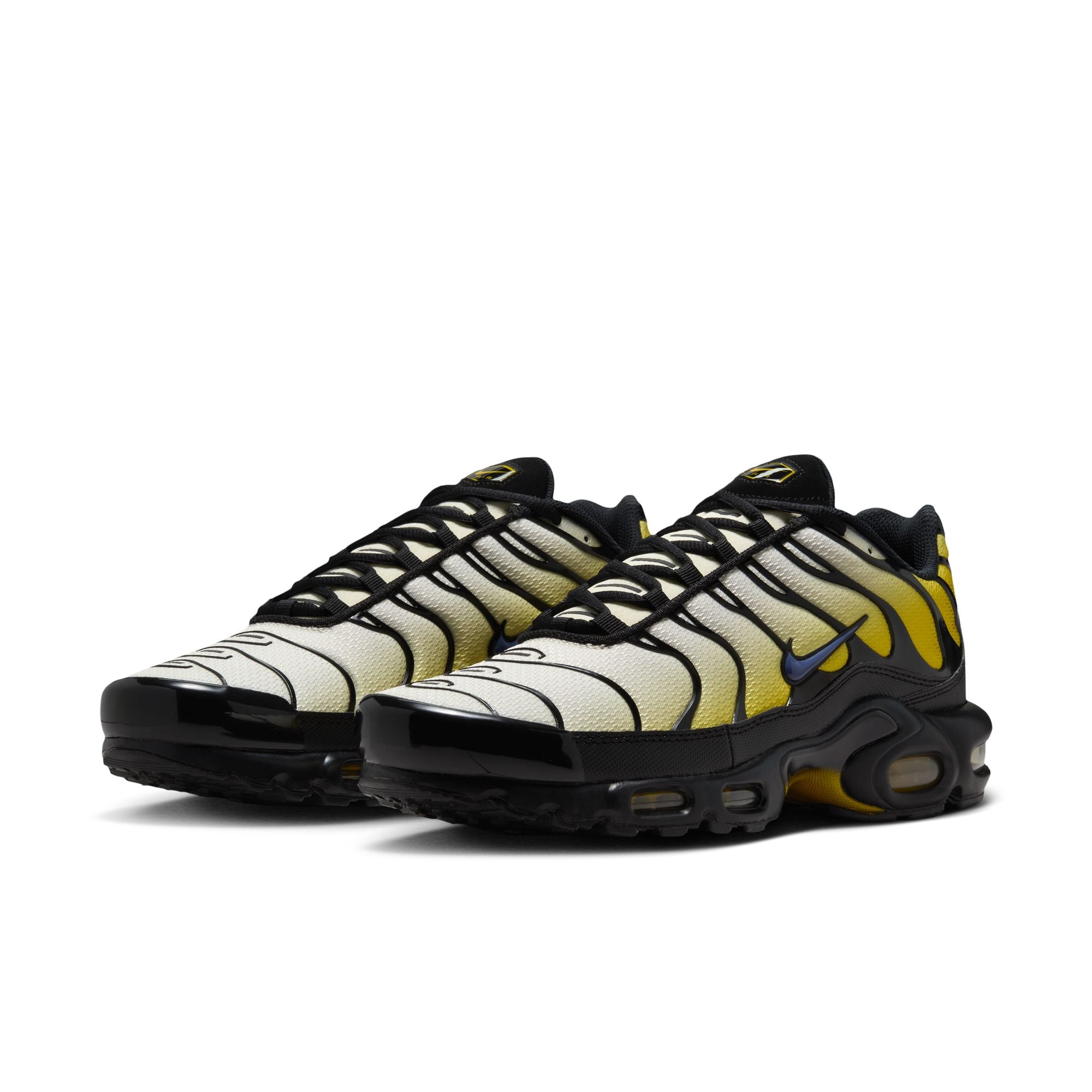 Air Max Plus Shoes